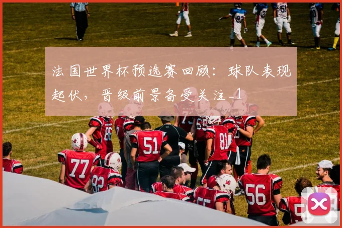 法国世界杯预选赛回顾：球队表现起伏，晋级前景备受关注_1
