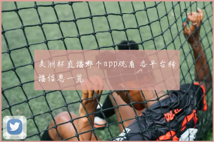 美洲杯直播哪个app观看 各平台转播信息一览