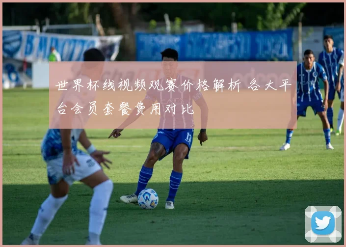 世界杯线视频观赛价格解析 各大平台会员套餐费用对比