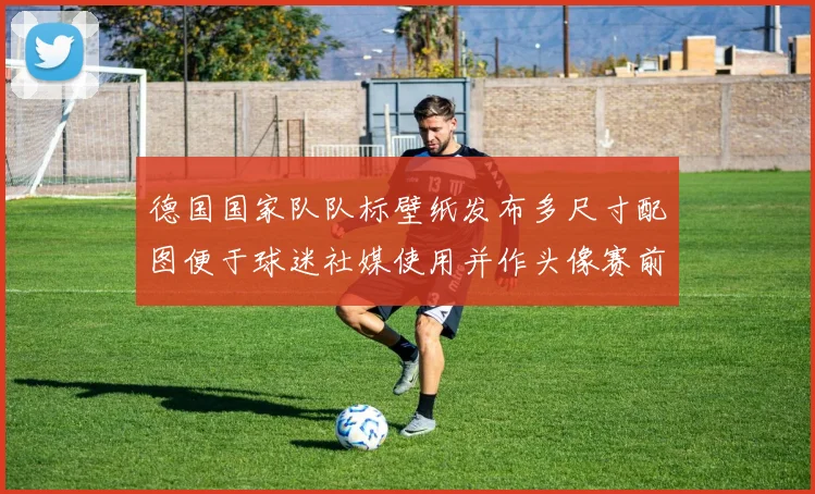 德国国家队队标壁纸发布多尺寸配图便于球迷社媒使用并作头像赛前背景